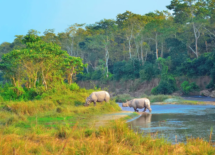 Chitwan Tourism