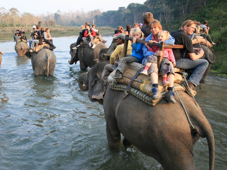 Chitwan National Park, An Entertaining but Ethical Jungle Safari