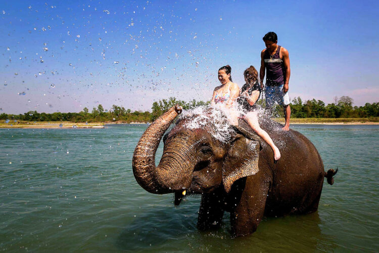 Bath with Elephant