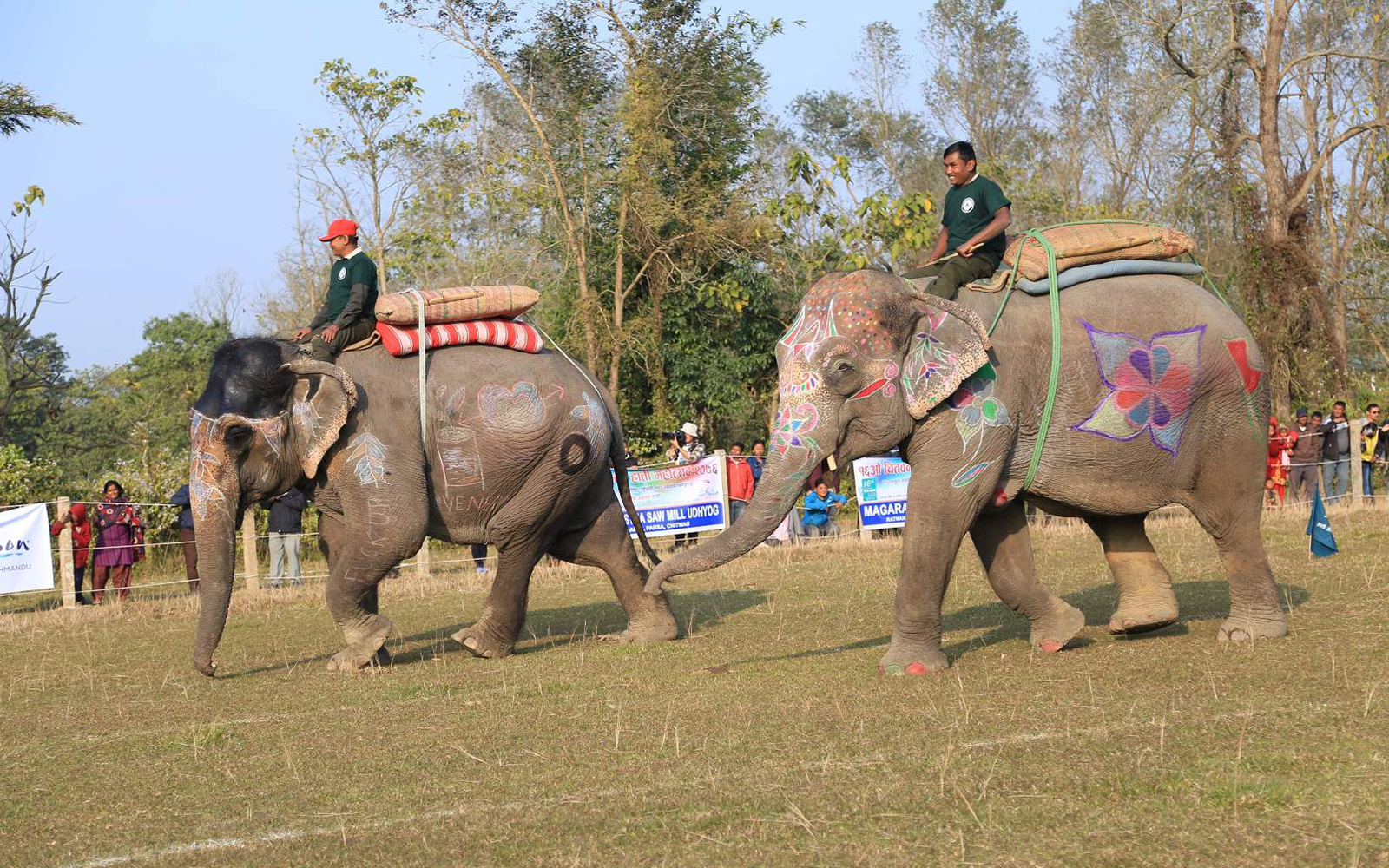 Elephant Games and Shows
