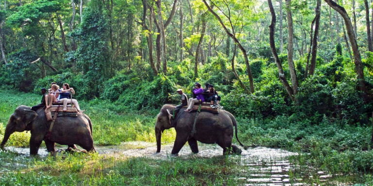 Elephant Ride / Safari