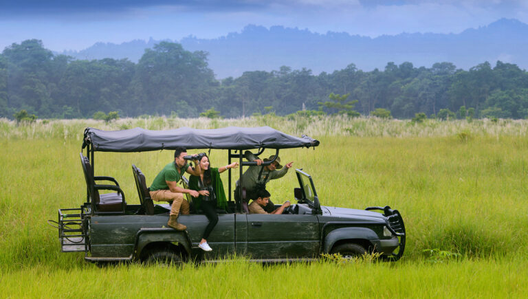 Jeep Drive Safari