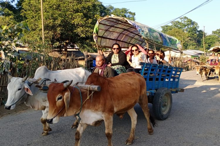 Ox Cart Riding
