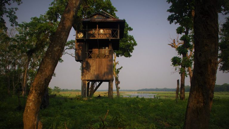 Tower Night stay at Chitwan National Park