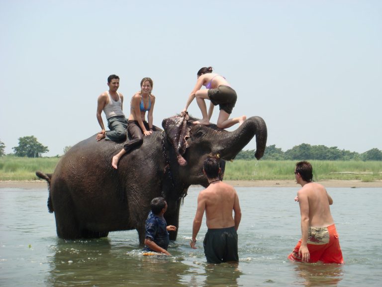 Bath with Elephant