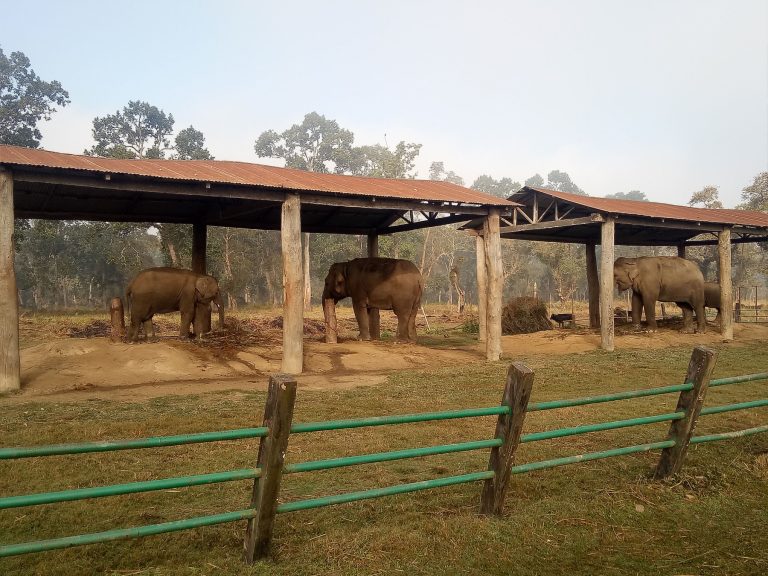Elephant Breeding Center