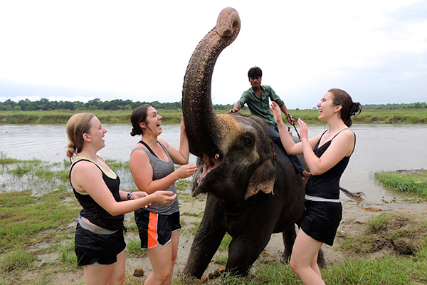Tourist with elephant in Chitwan