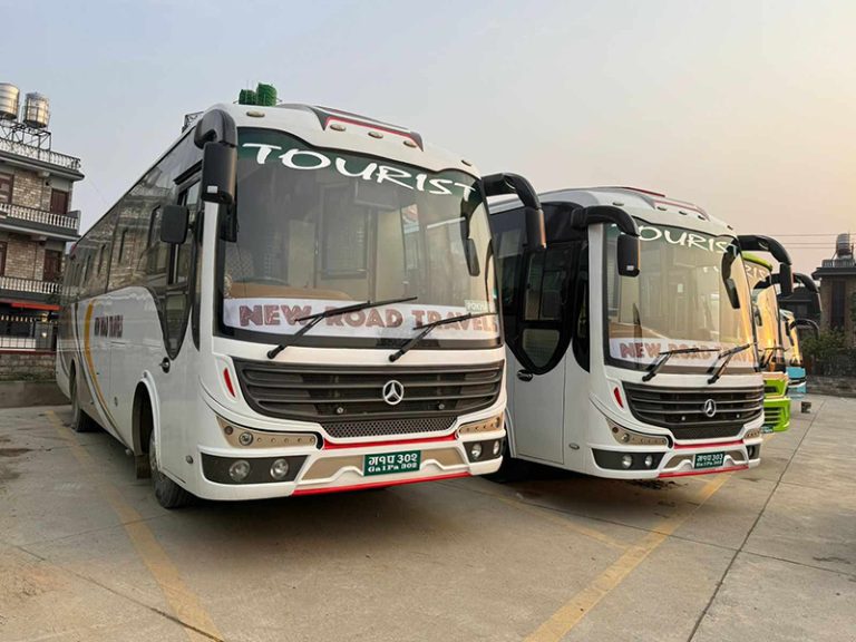 New Road Travels and Tours